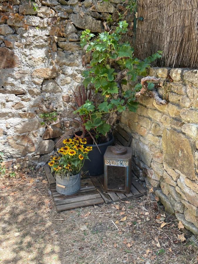 Le Patio, coeur de ville avec garage&jardin, gare à pied Vannes Extérieur photo